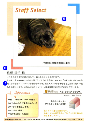 sample02.jpg sample02.jpg